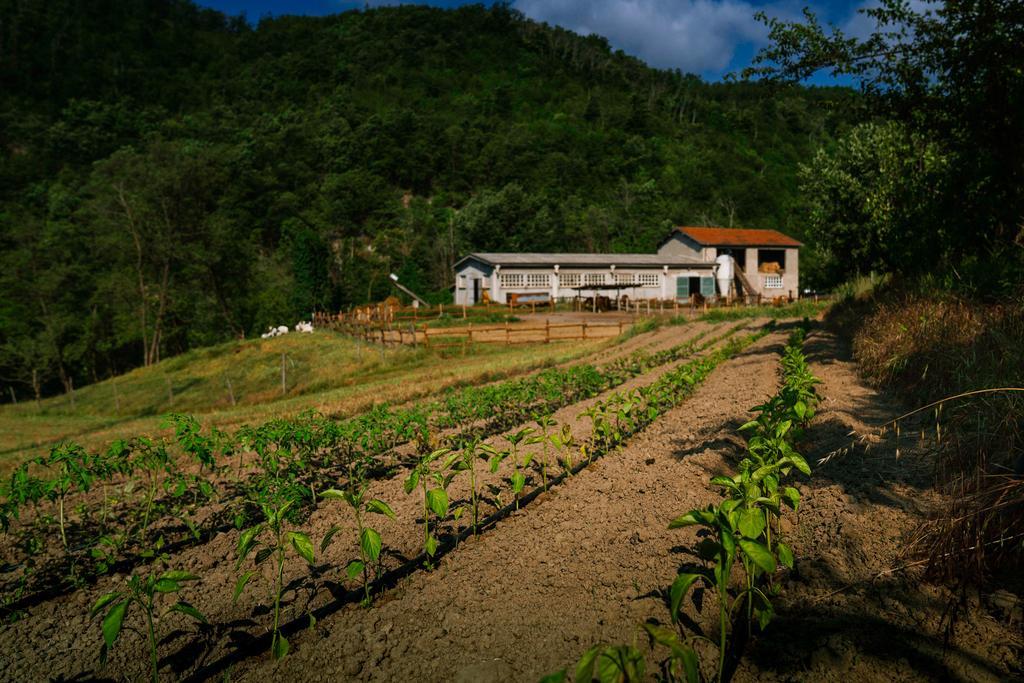 Agriturismo Cascina Del Vai Cairo Montenotte Eksteriør bilde